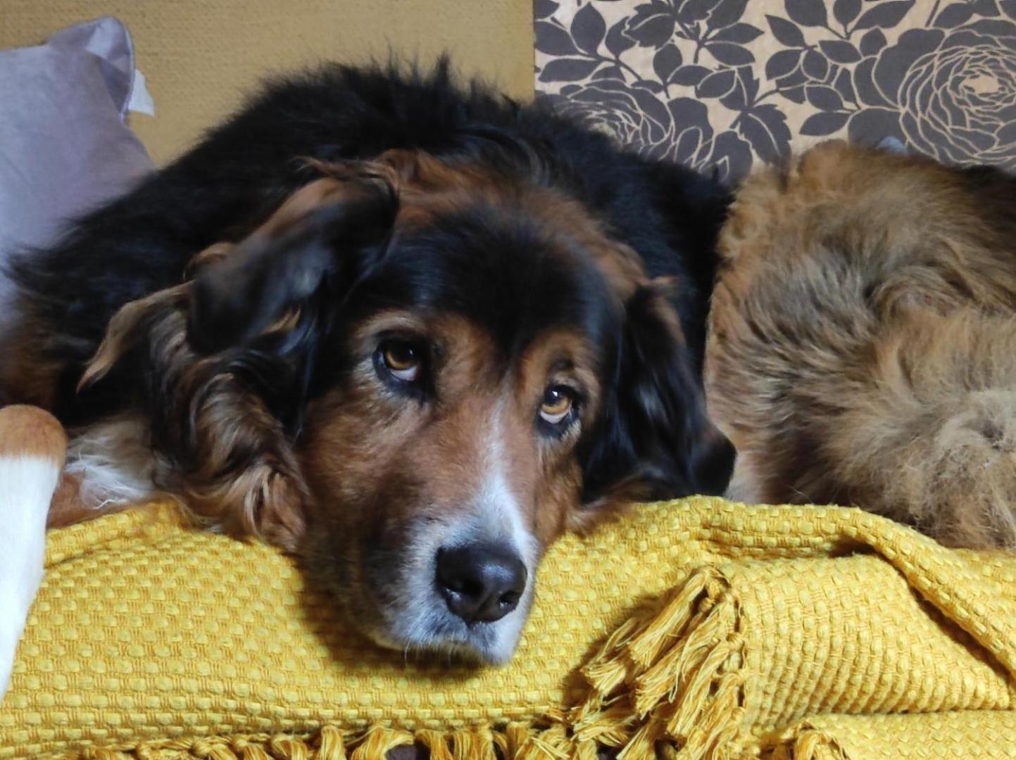 Chignin Chez Sylvie Et Guy Bed & Breakfast エクステリア 写真